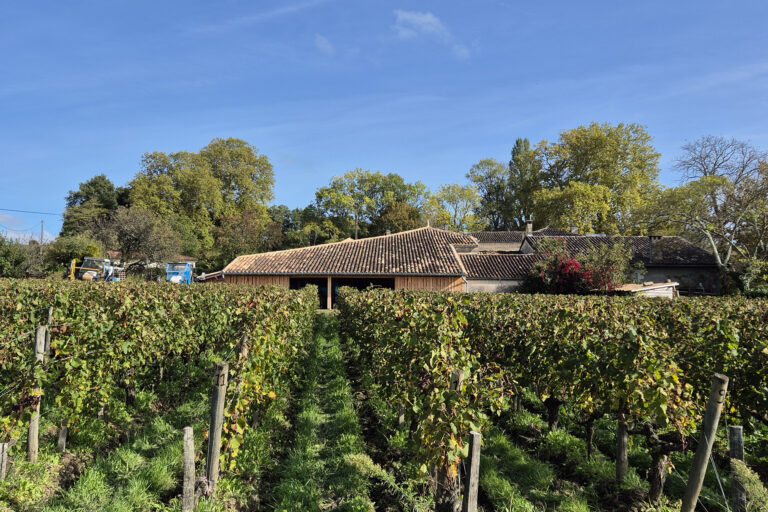 coutet viticole photo vigne