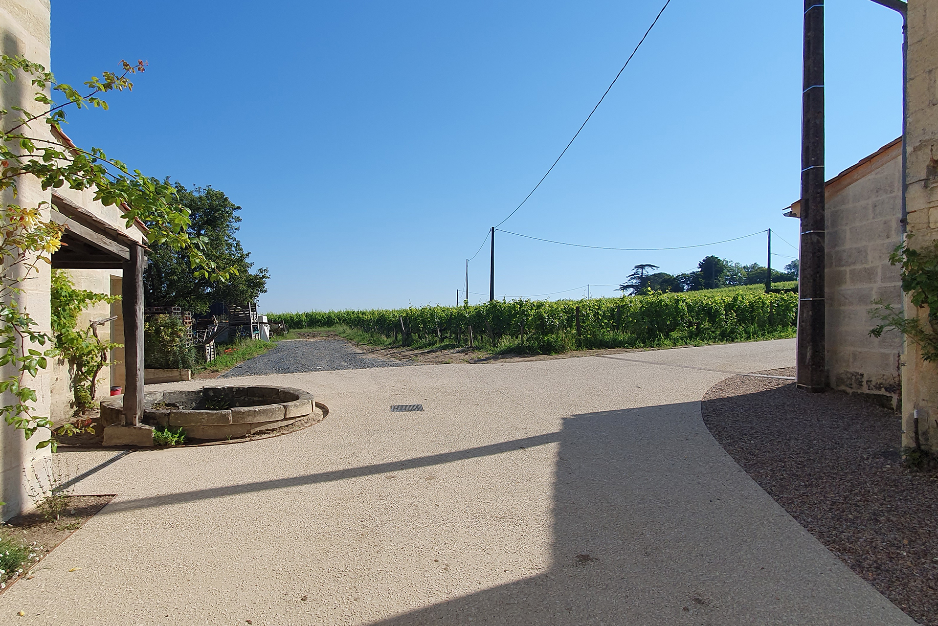 coutet viticole photo réception vendange